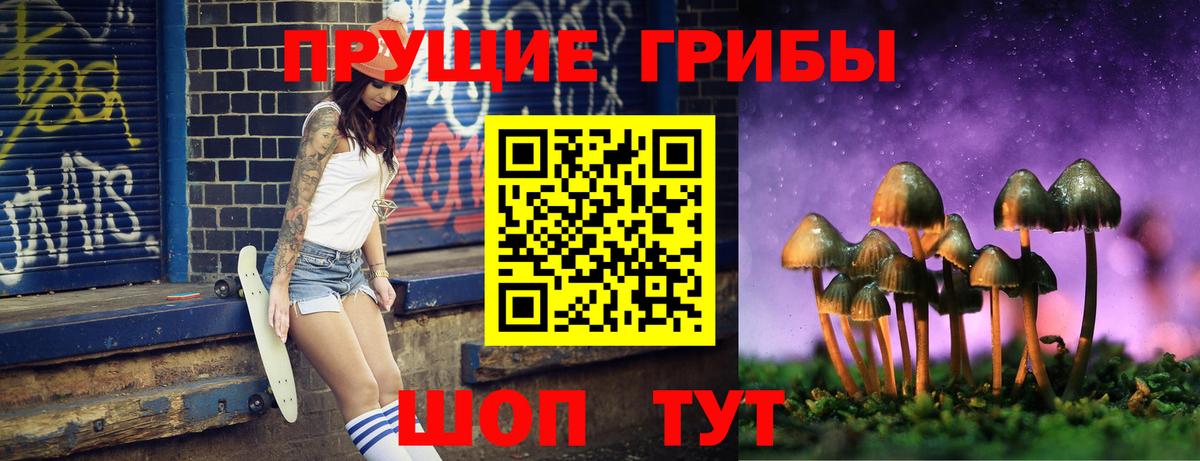 Псилоцибиновые грибы Psilocybe  Галлюциногенные грибы мухоморы  Ачхой-Мартан  Вход с VPN 